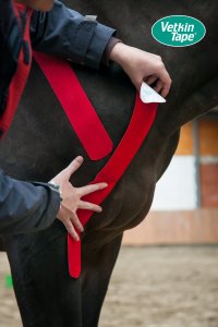 VetkinTape 