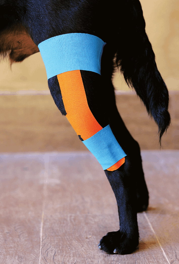 Simplified single H taping application, lateral view