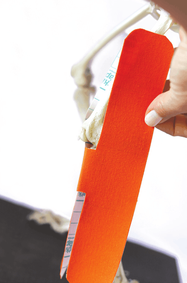 Cutting an H-shaped strip of tape, lateral view