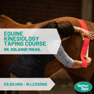 thumbnail equine taping course solange