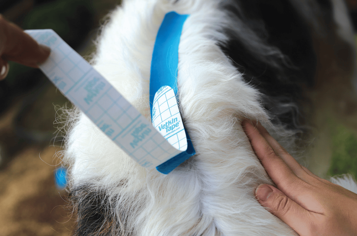 VetkinTape® Equine & Canine Kinesiology Tape 4'' x 16' - Image 4